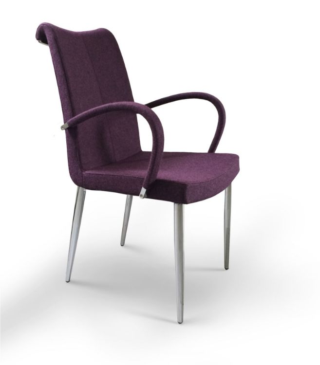 tulip camira_ _deep_maroon down