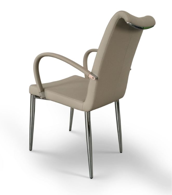 tulip camira_1_ down