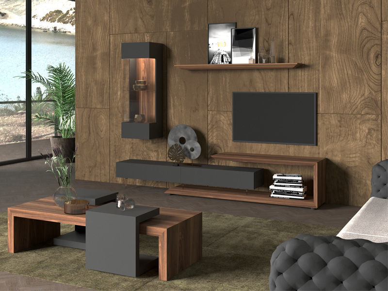 Frame TV Unit Modern Luxury Furniture Store in Paramus, NJ