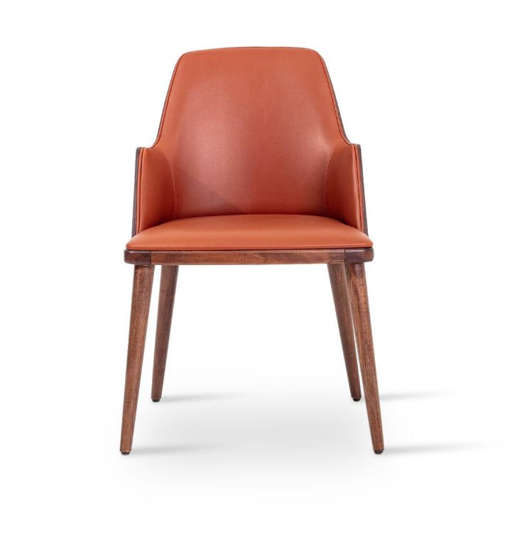 Picture of Romano W Arm Dining Chair