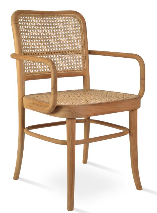 Picture of Rumi Arm Dining Chair