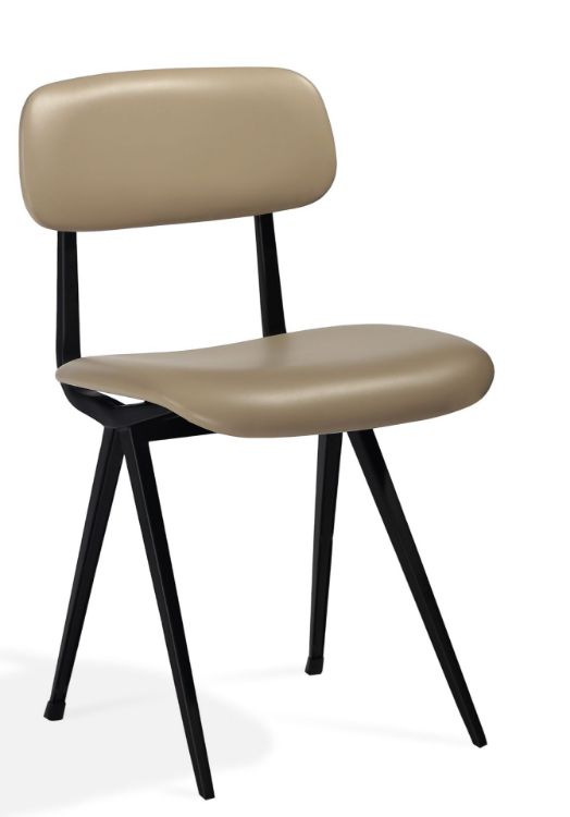 Picture of Pedrali Dining Chair