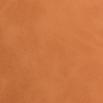 Caramel PPM Leather