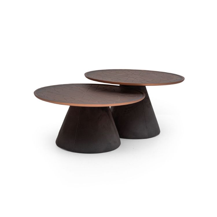 Picture of Orion Coffee Table Set of 2