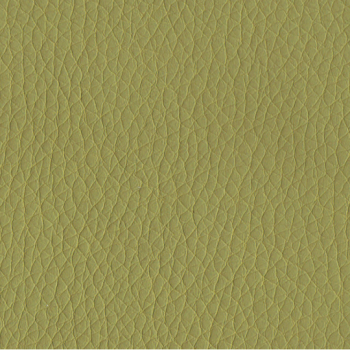 Green PPM Leather [+$10.00]