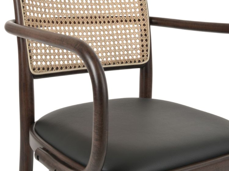 Picture of Rumi Arm Dining Chair