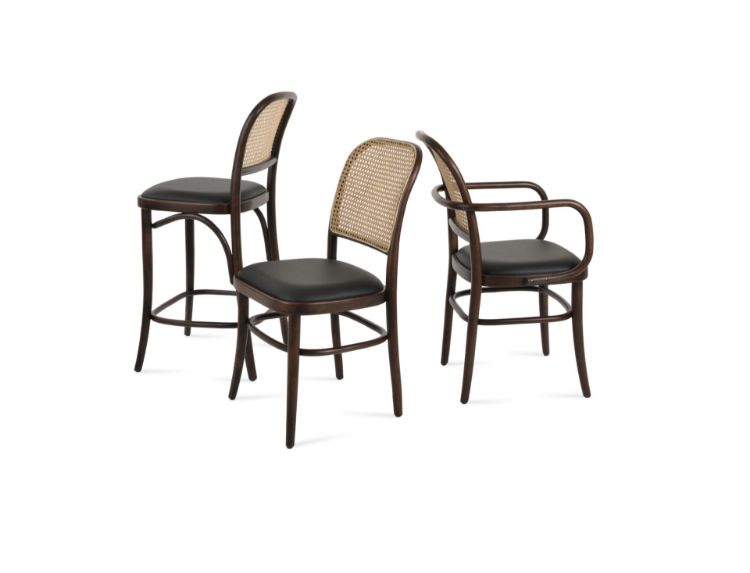 Picture of Rumi Arm Dining Chair