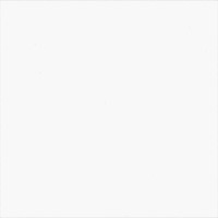 White PPM Leather [+$94.00]